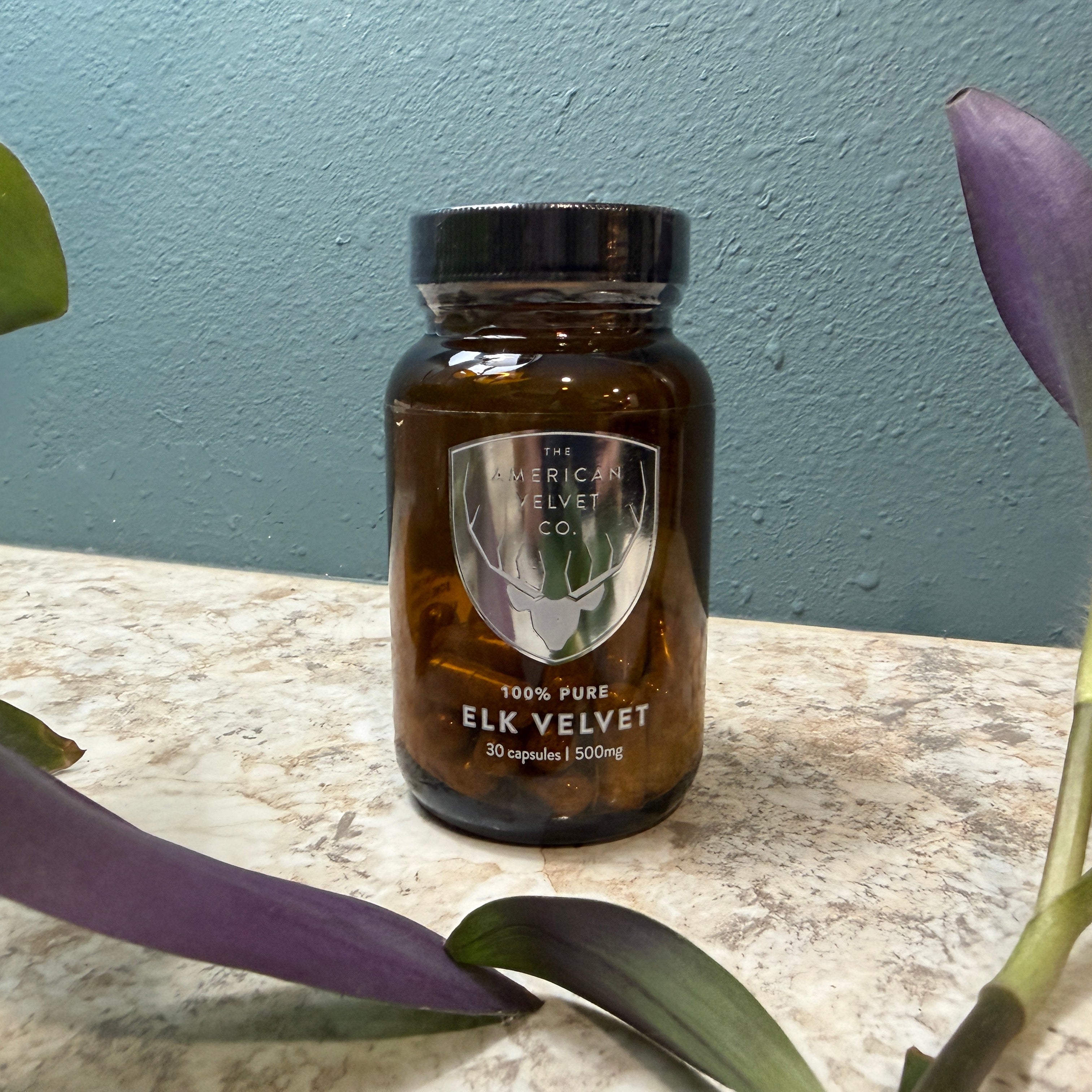 A bottle of The American Velvet Co. Elk Velvet capsules, 30 capsules, 1500mg, in an amber glass bottle with a black cap, set on a stone surface with purple flowers in the foreground.