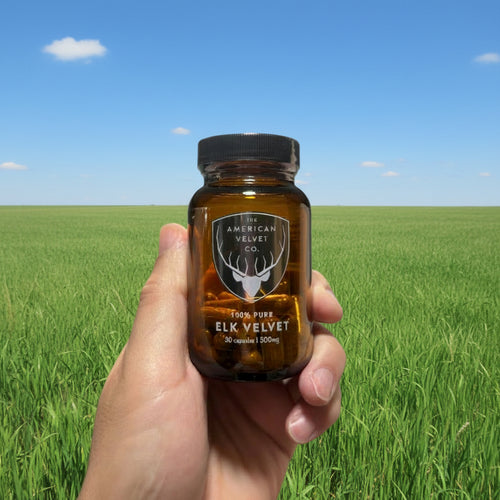 A hand holds an amber glass bottle of American Velvet Co. Elk Velvet supplement capsules.