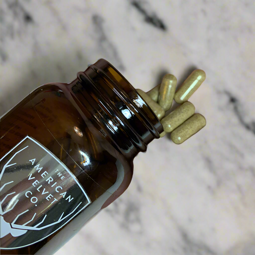 American Elk Velvet Antler Supplement 25% Off